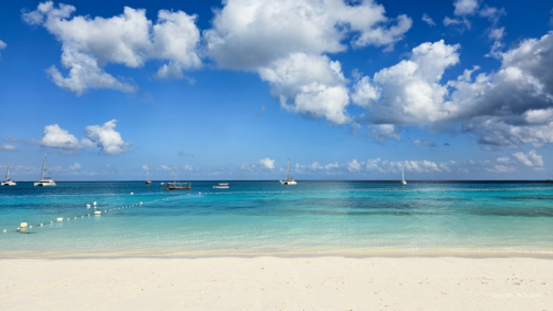 TZ Value 7 Sep 2024 Small-312