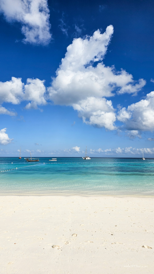 TZ Value 7 Sep 2024 Small-313