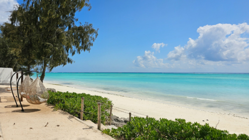 TZ Value 7 Sep 2024 Small-317