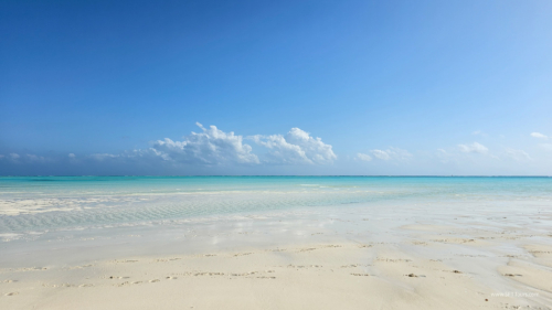 TZ Value 7 Sep 2024 Small-344