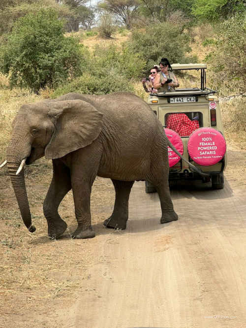 TZ Value 7 Sep 2024 Small-352