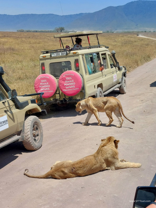 TZ Value 7 Sep 2024 Small-355