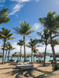 Caribbean Scouting 2025 L-122