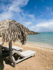 Caribbean Scouting 2025 L-124