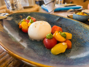 Caribbean Scouting 2025 L-126