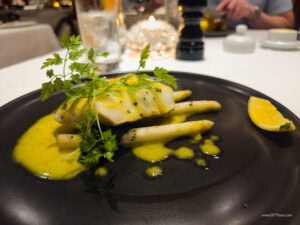 Caribbean Scouting 2025 L-137