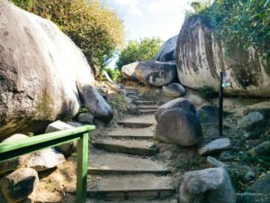 Caribbean Scouting 2025 L-181