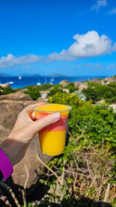 Caribbean Scouting 2025 L-184