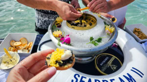 Caribbean Scouting 2025 L-195