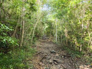 Caribbean Scouting 2025 L-23