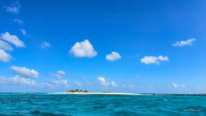 Caribbean Scouting 2025 L-61