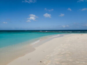 Caribbean Scouting 2025 L-68