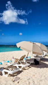 Caribbean Scouting 2025 L-81