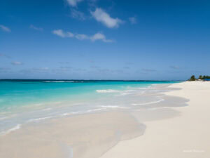 Caribbean Scouting 2025 L-86