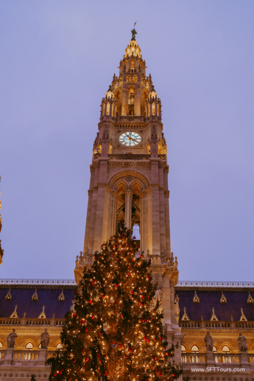 Xmas markets Nov 2024 (Beth) L-071