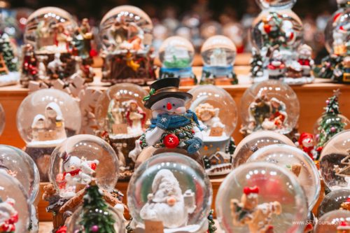 Xmas markets Nov 2024 (Beth) L-241