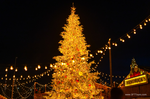 Xmas markets Nov 2024 (Beth) L-635