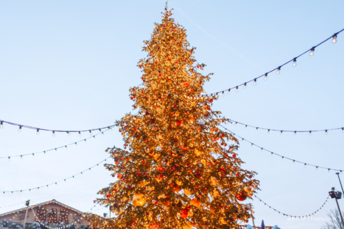 Xmas markets Nov 2024 (Beth) L-647