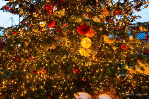 Xmas markets Nov 2024 (Beth) L-652