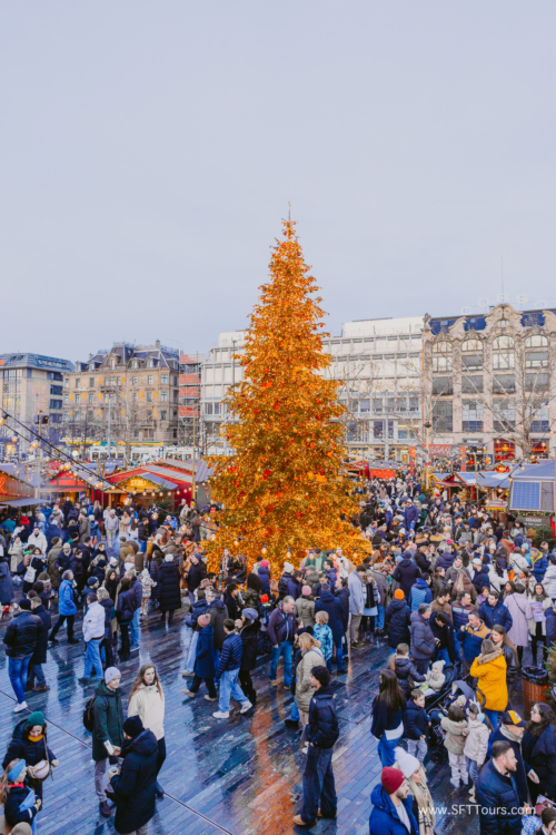Xmas markets Nov 2024 (Beth) L-658