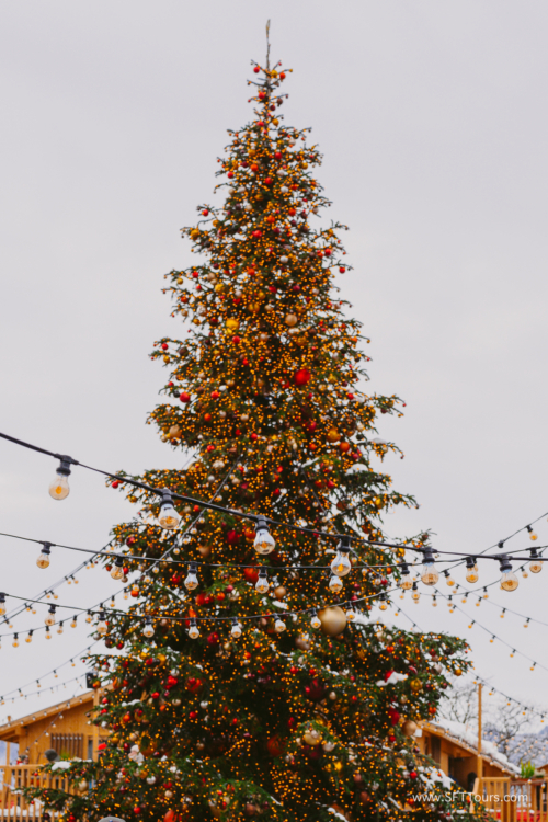 Xmas markets Nov 2024 (Beth) L-865