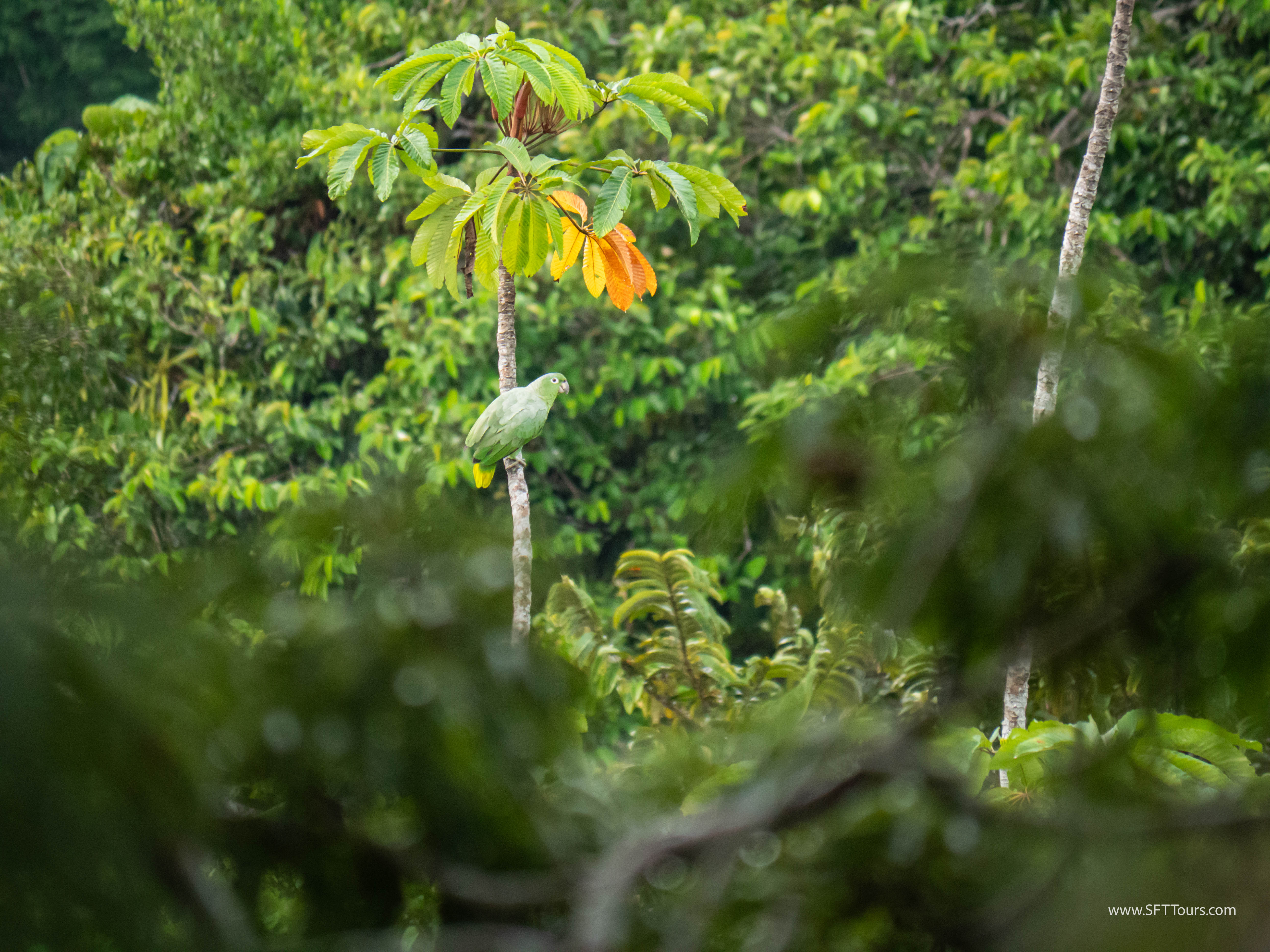 Ecuador Scouting 2025 L-114
