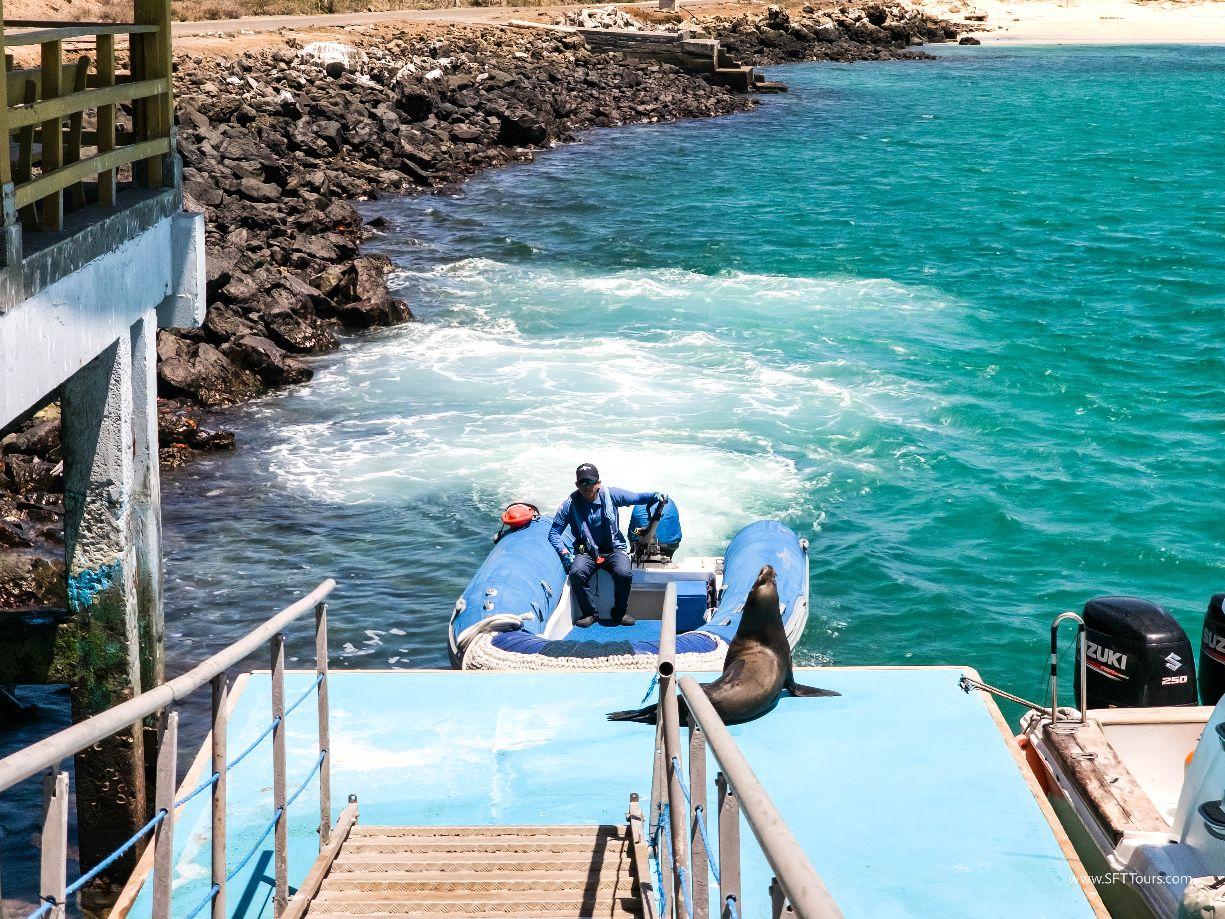 Galapagos Scouting 2025 L-1
