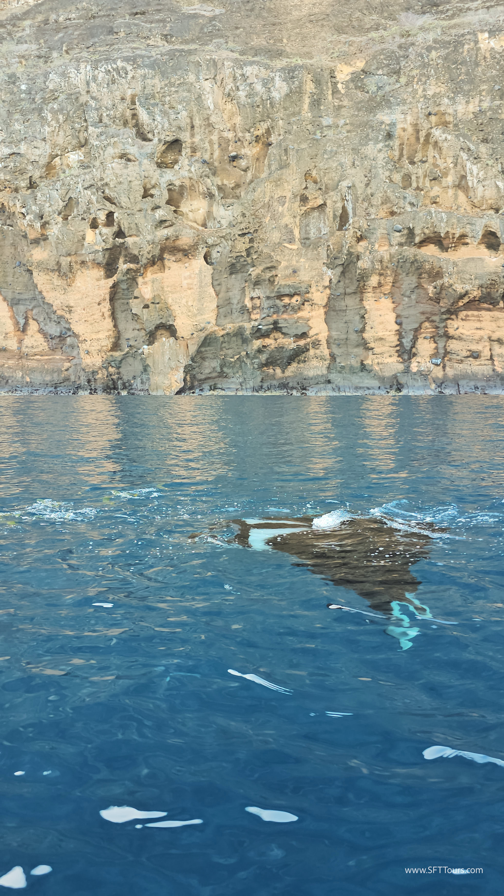 Galapagos Scouting 2025 L-129