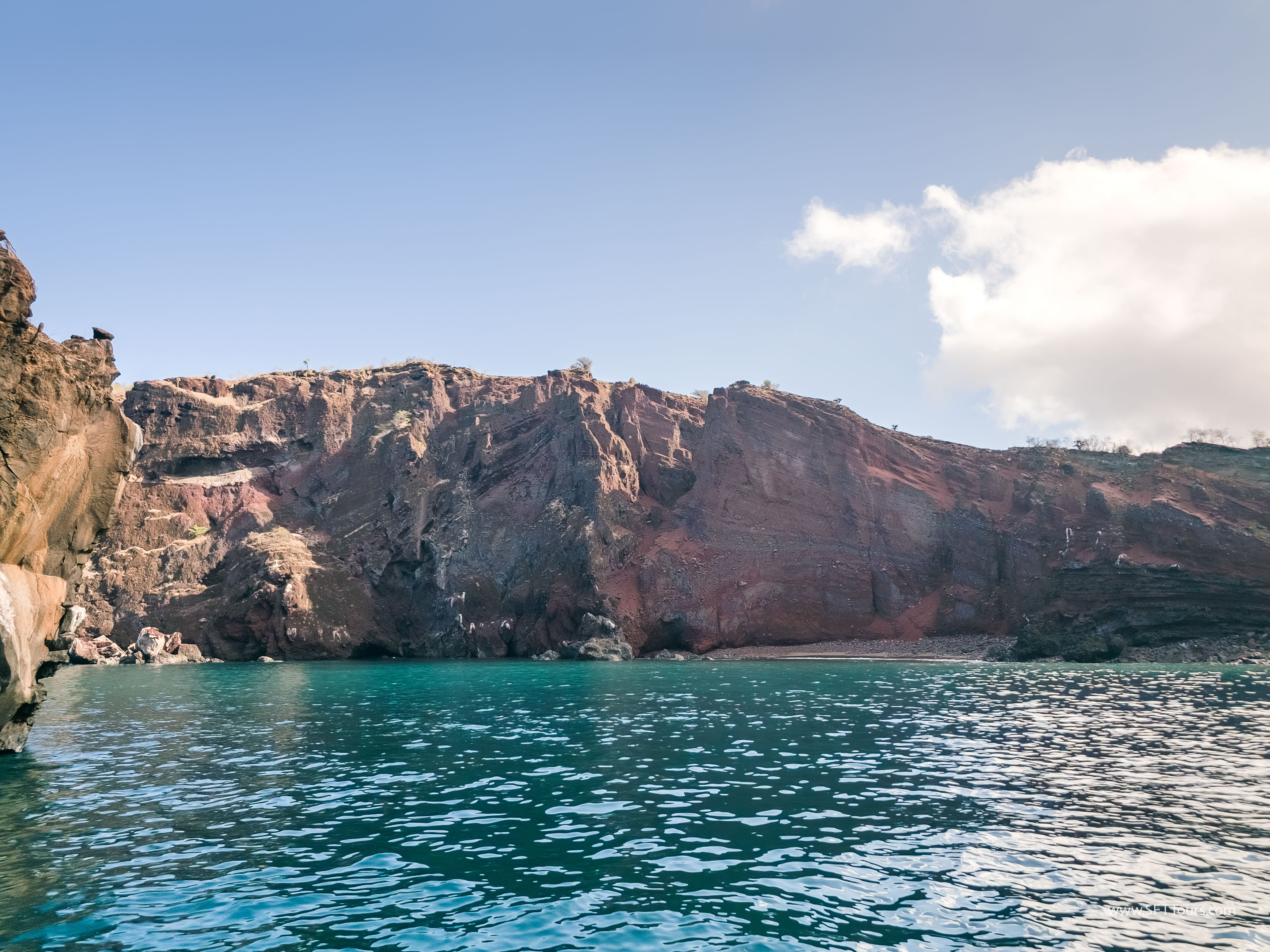 Galapagos Scouting 2025 L-131