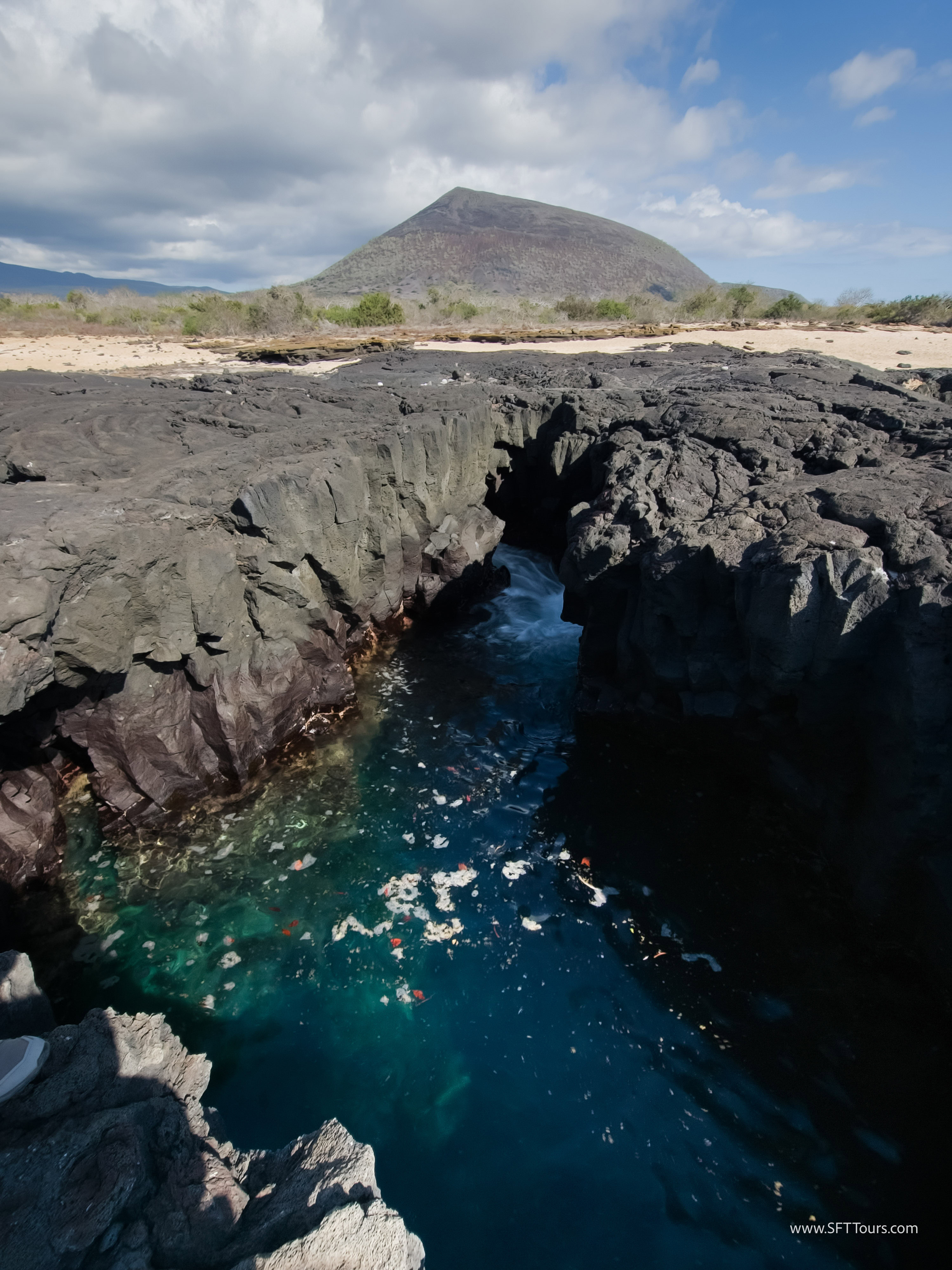 Galapagos Scouting 2025 L-141
