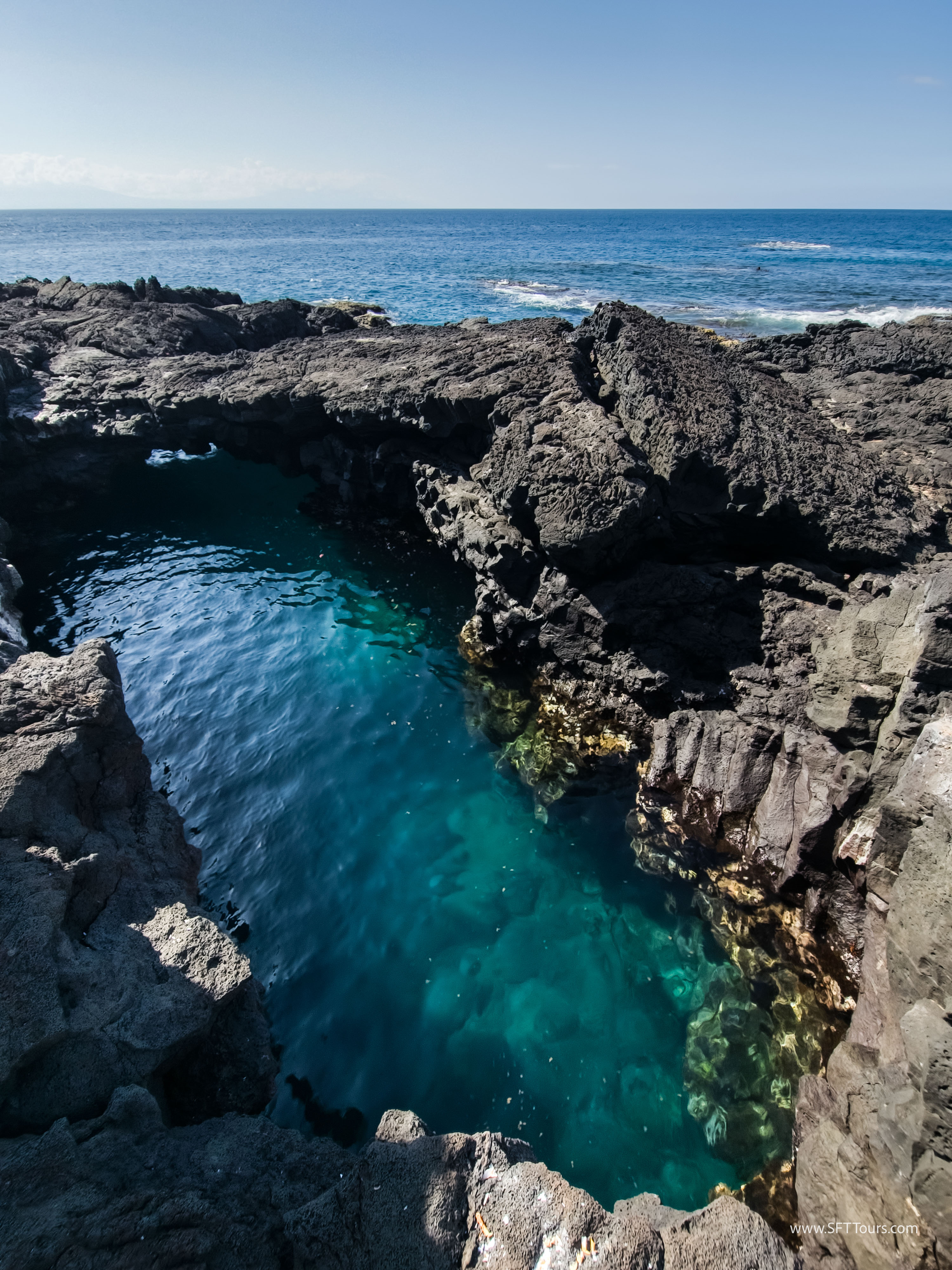 Galapagos Scouting 2025 L-142