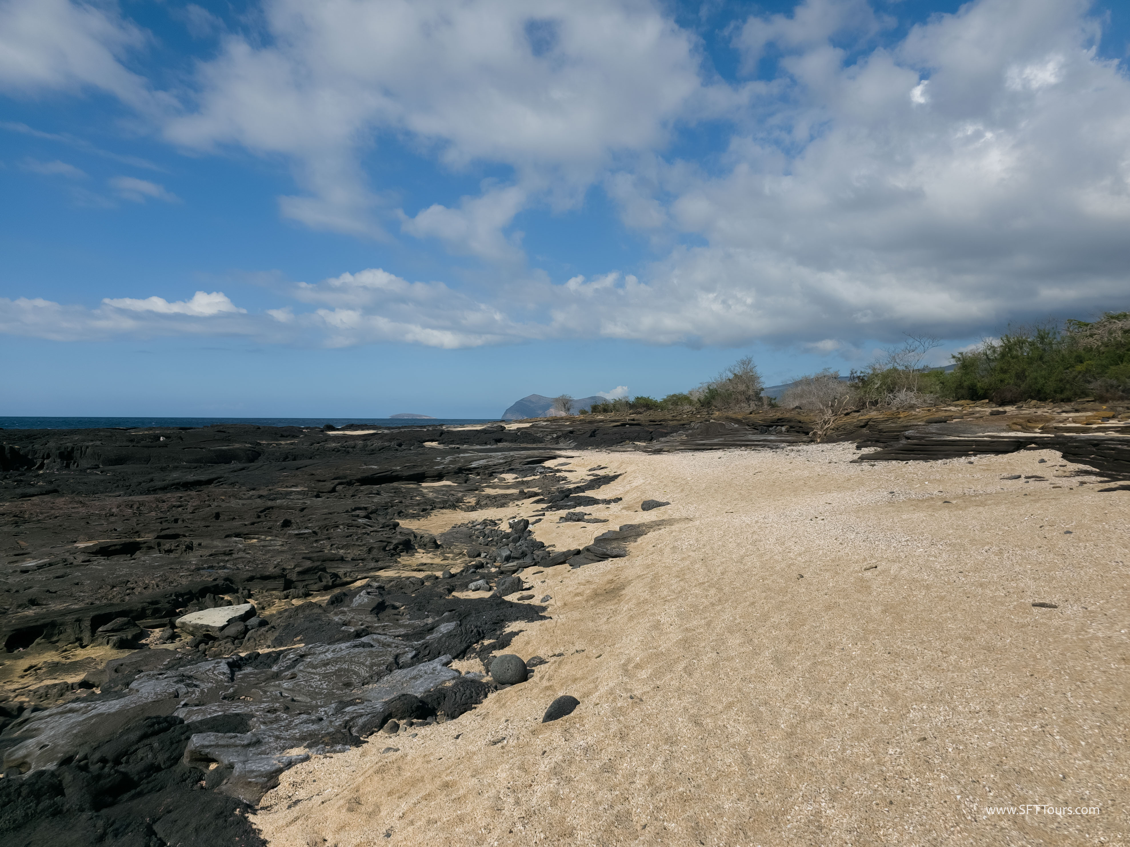 Galapagos Scouting 2025 L-143