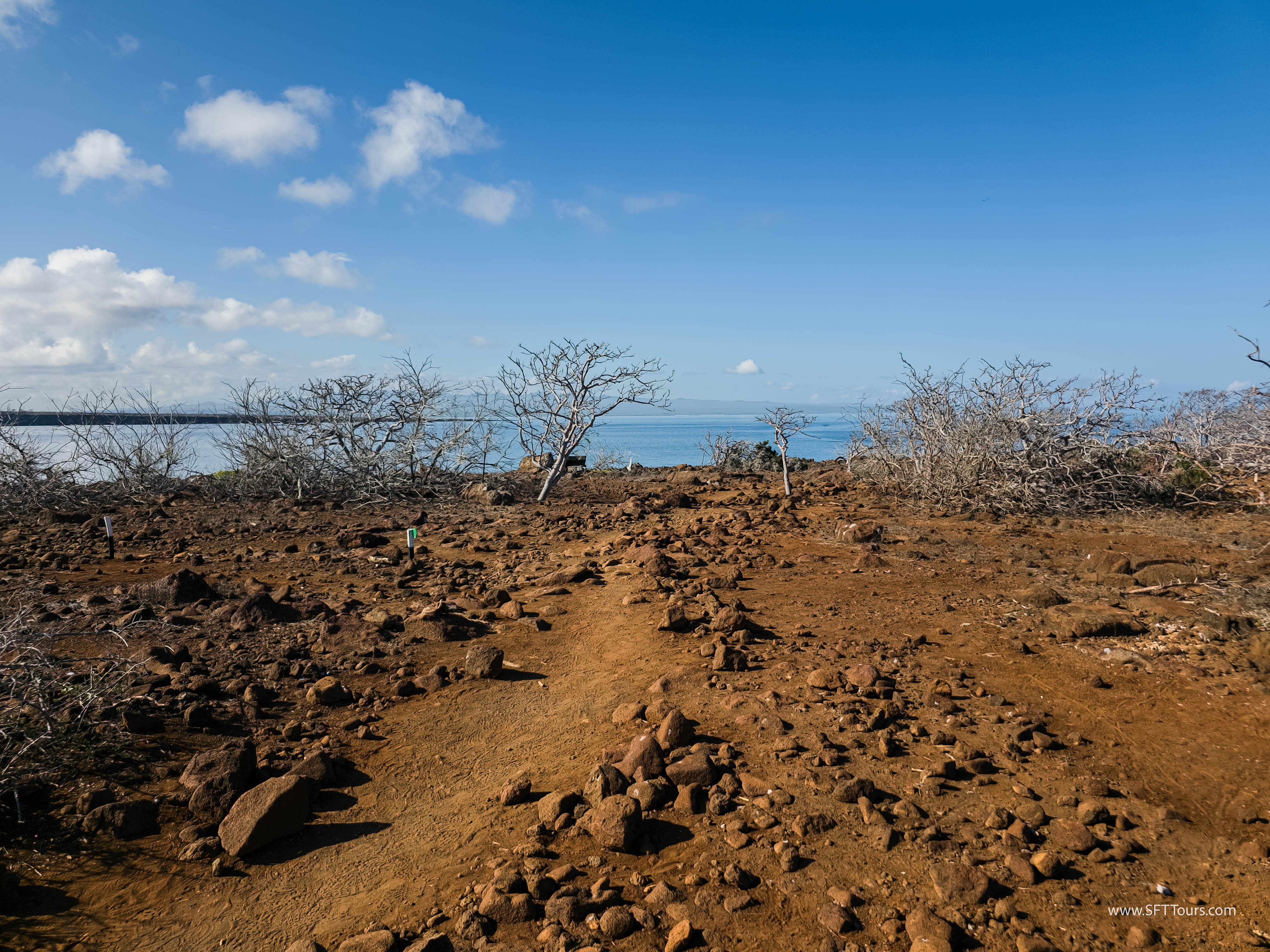 Galapagos Scouting 2025 L-159