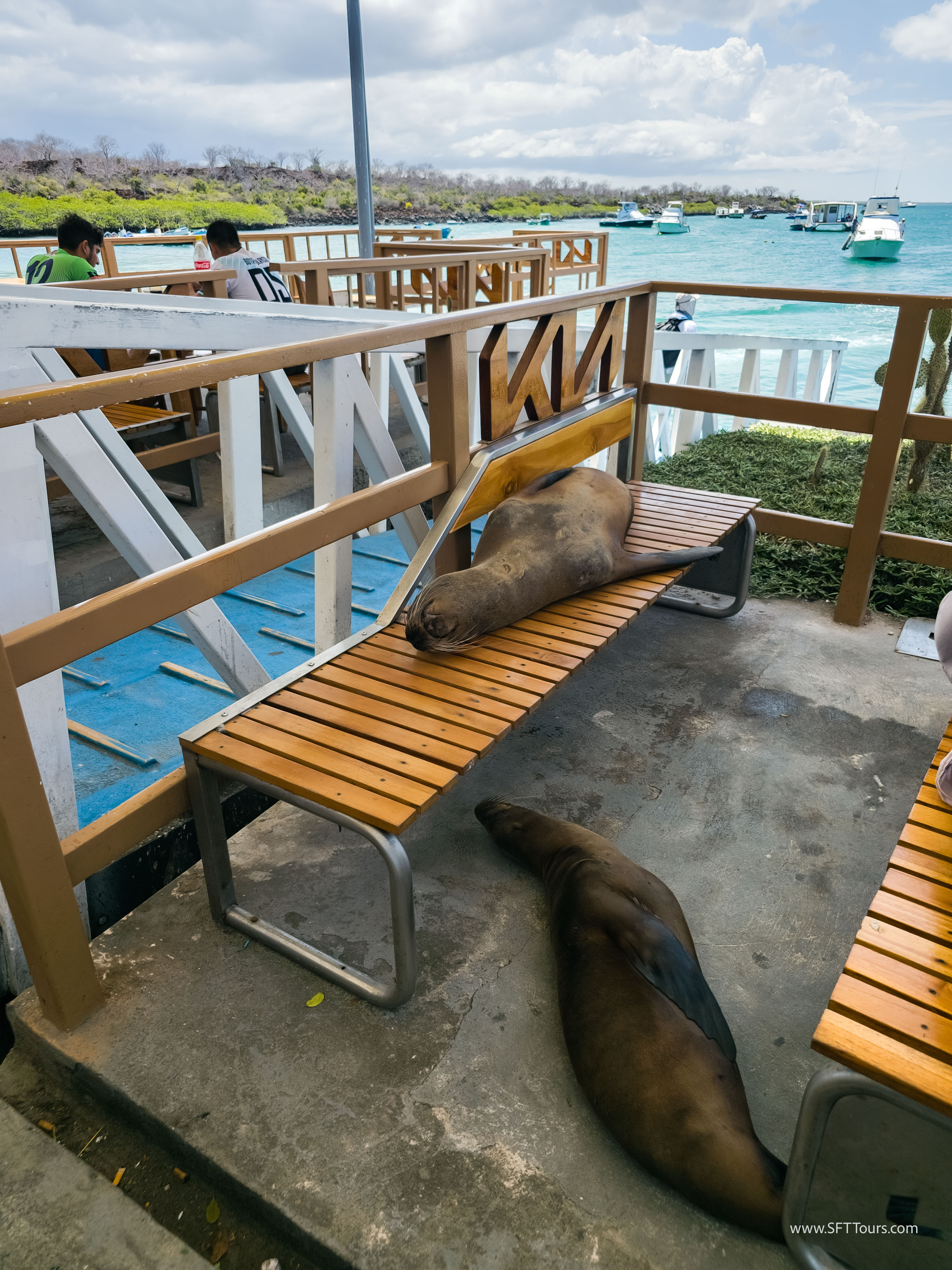 Galapagos Scouting 2025 L-167