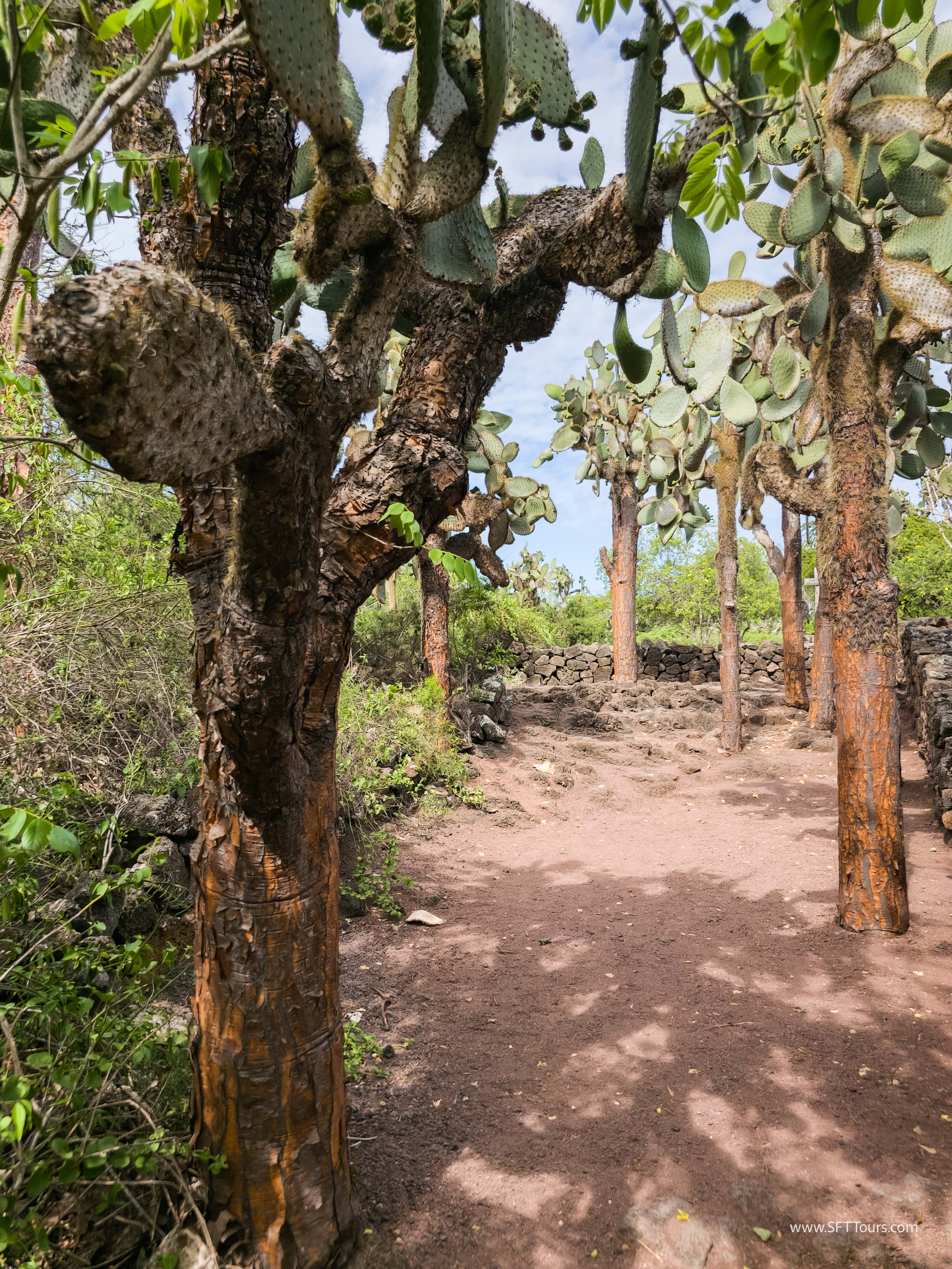 Galapagos Scouting 2025 L-170