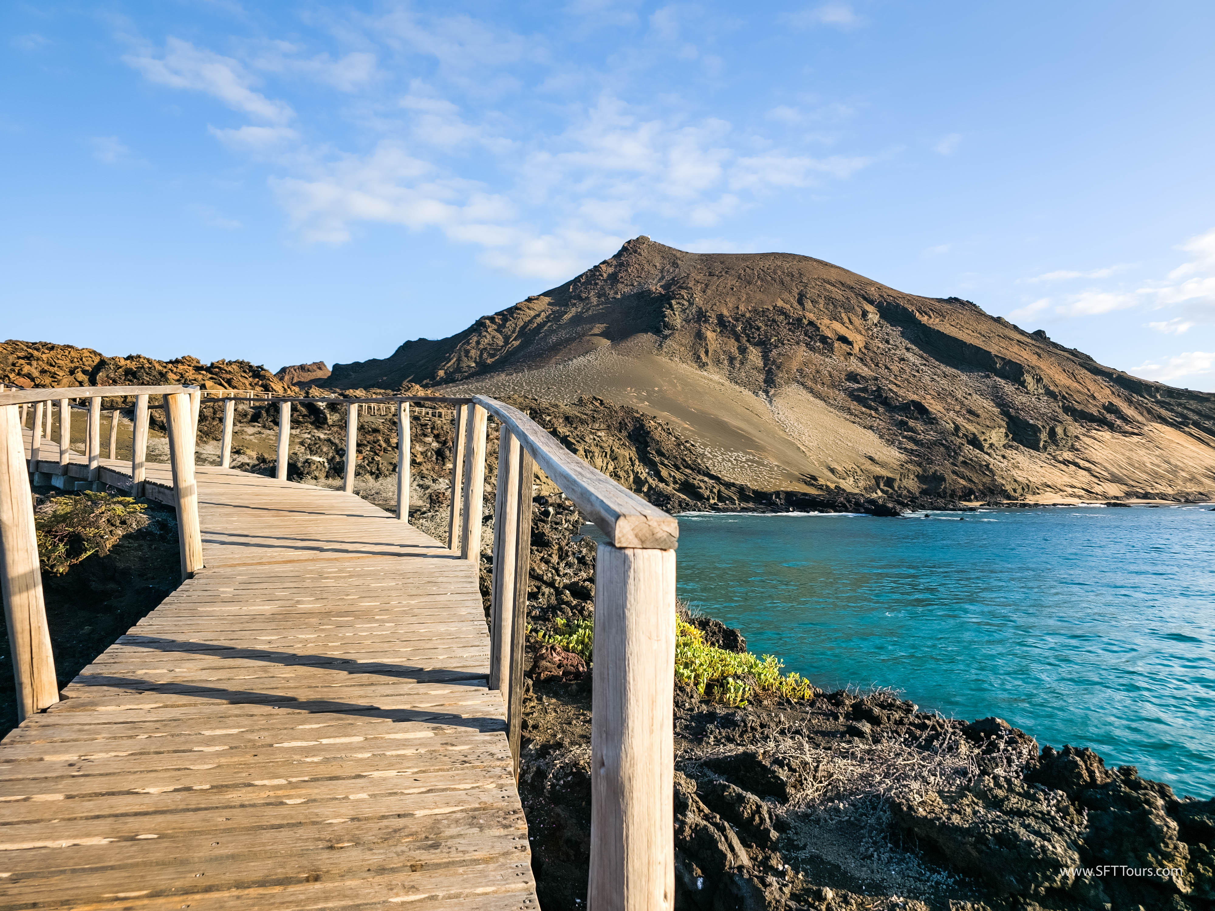 Galapagos Scouting 2025 L-19