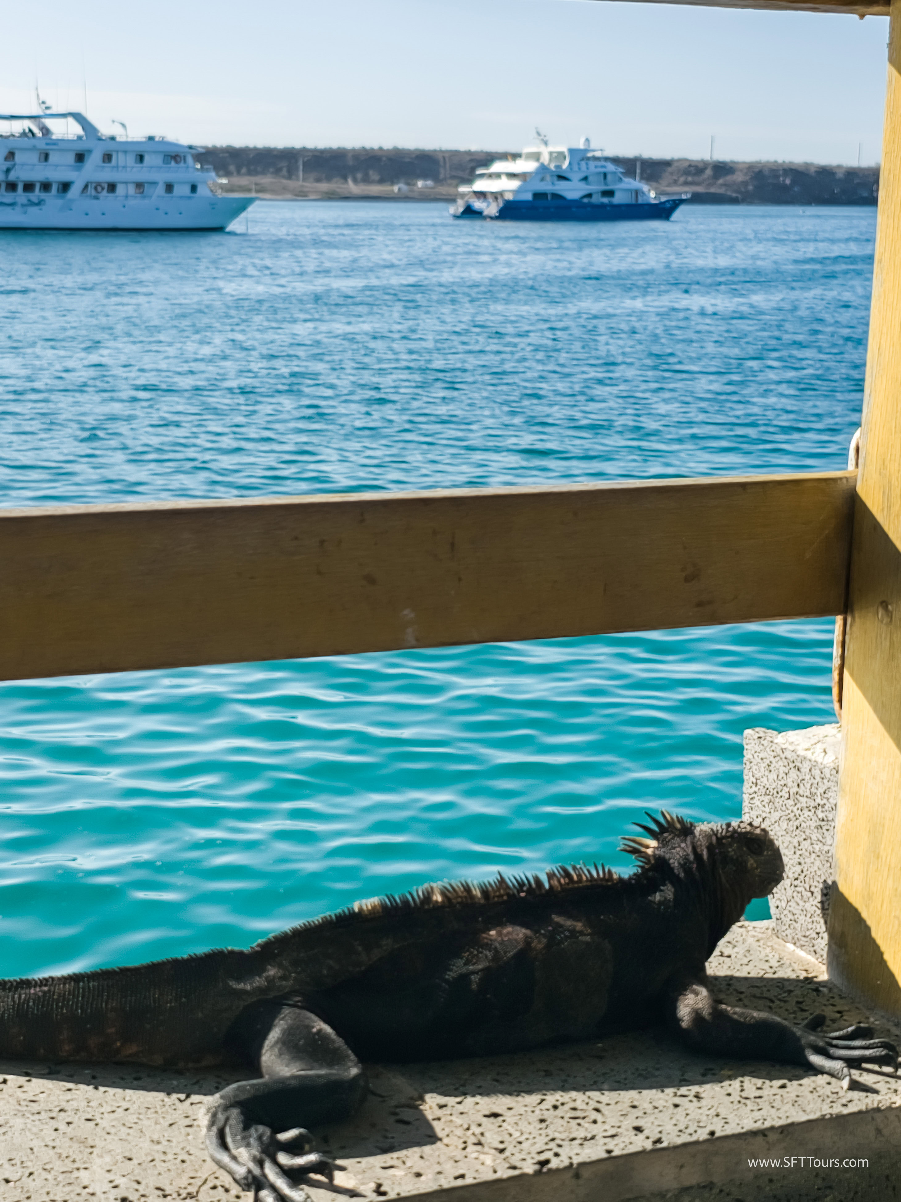 Galapagos Scouting 2025 L-212