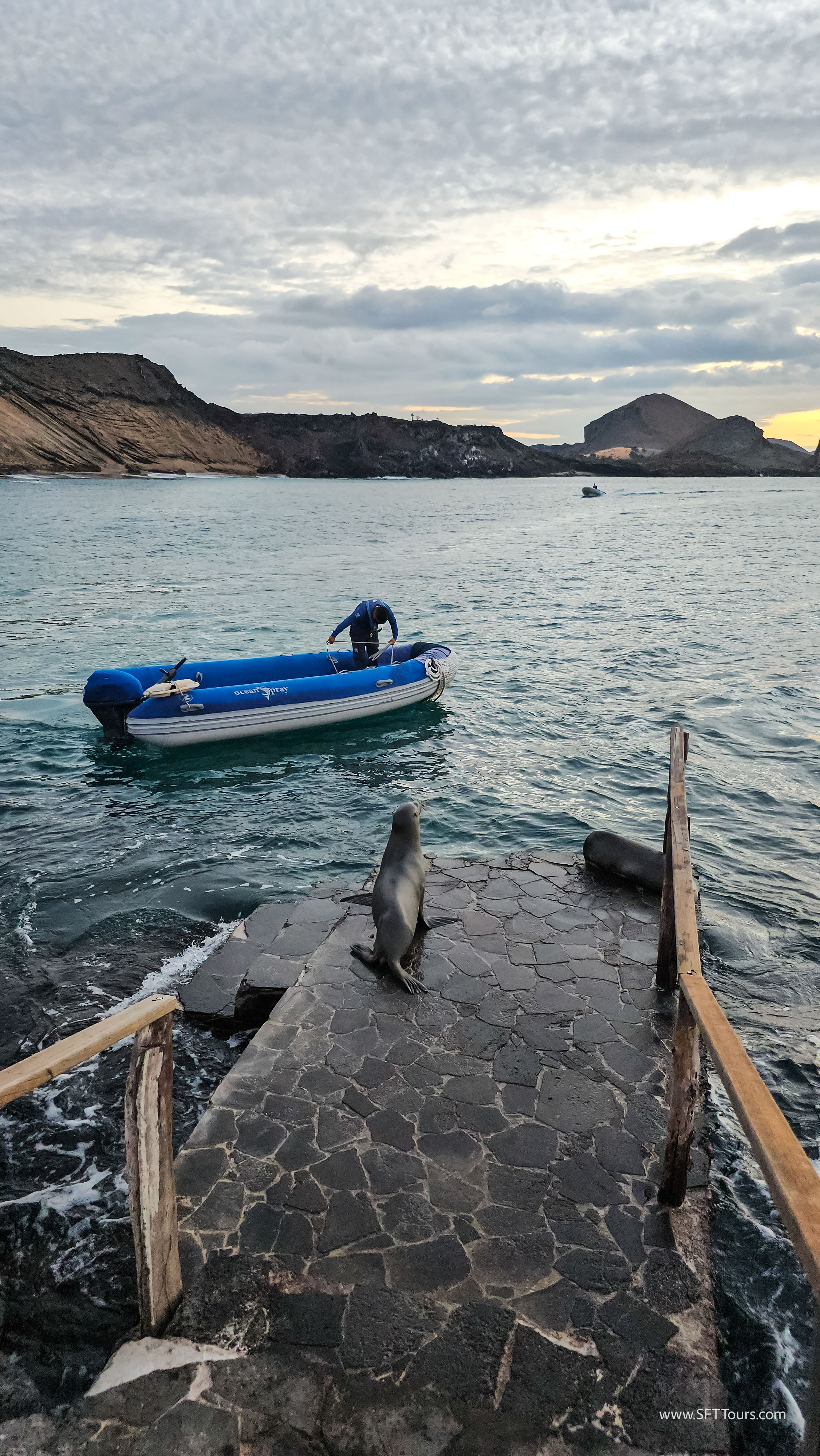 Galapagos Scouting 2025 L-31