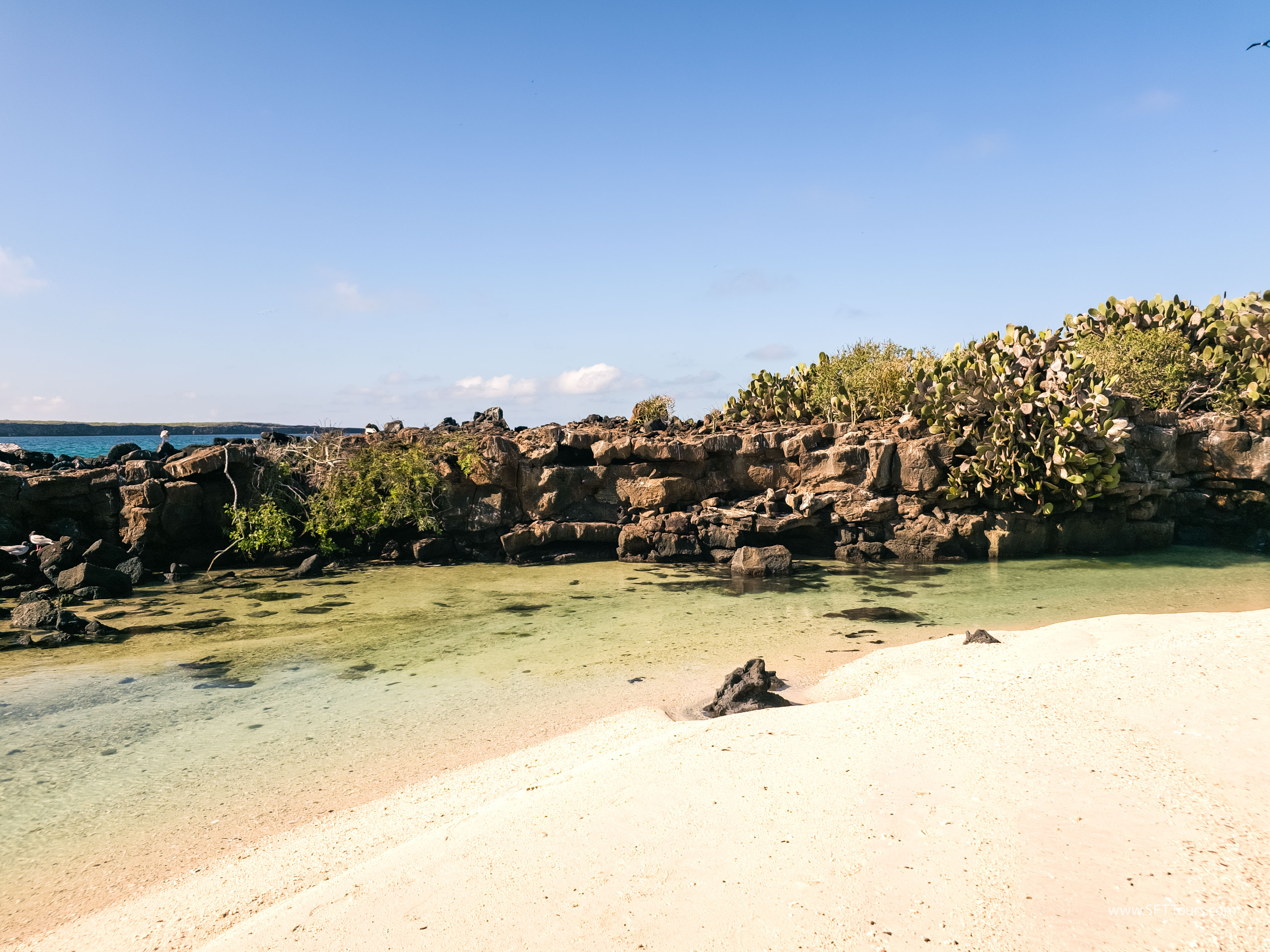 Galapagos Scouting 2025 L-50