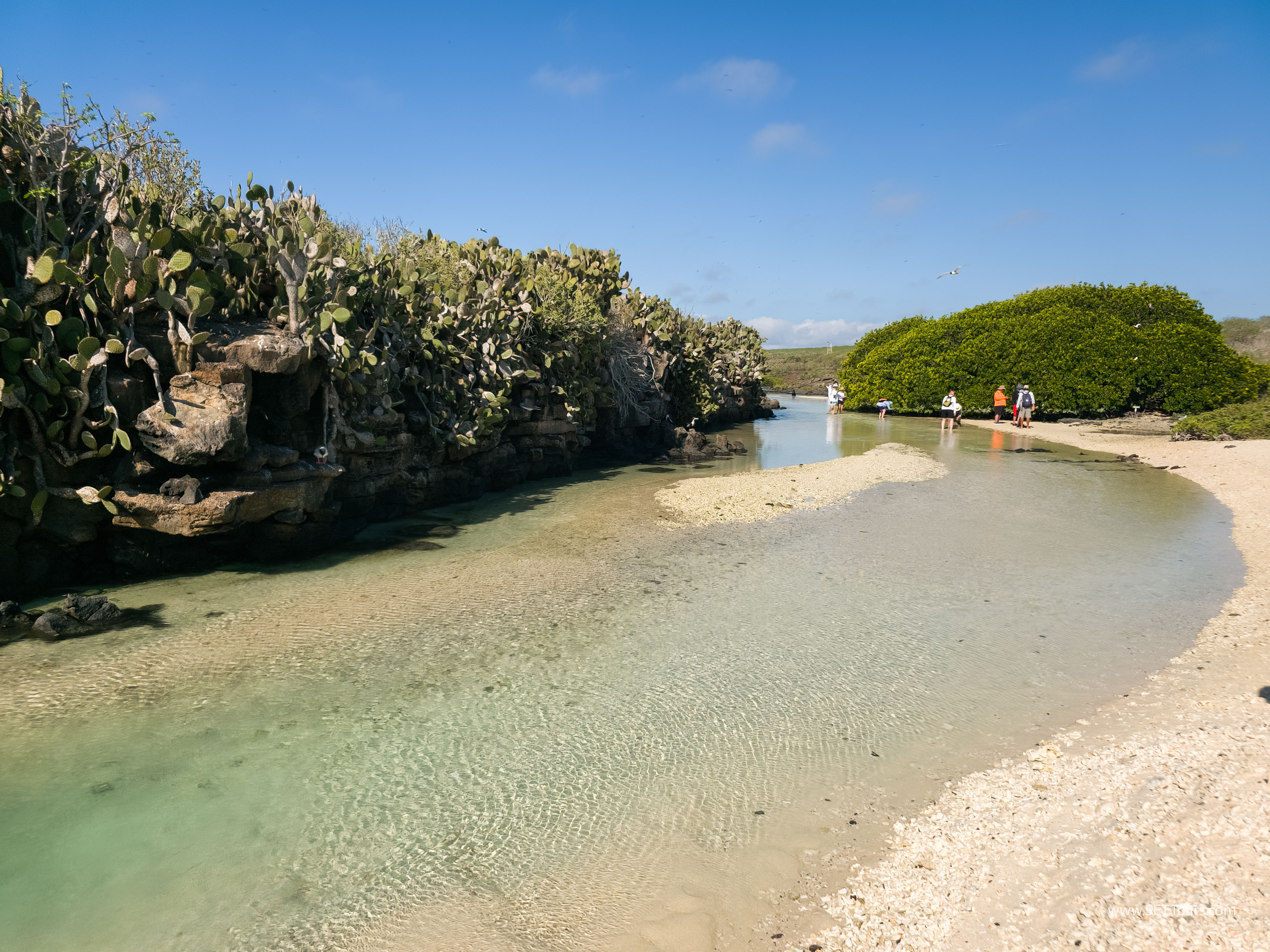 Galapagos Scouting 2025 L-53