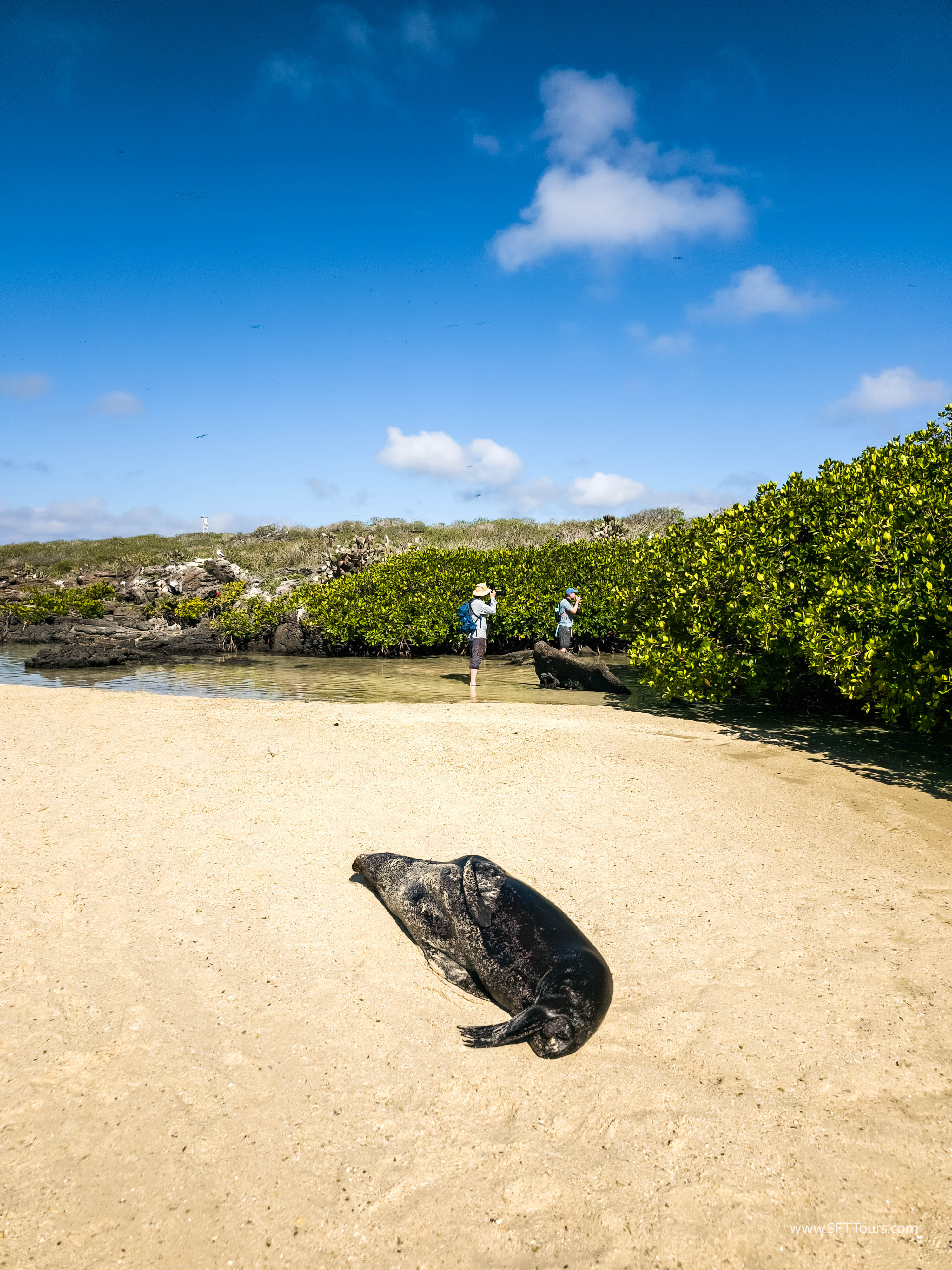 Galapagos Scouting 2025 L-55