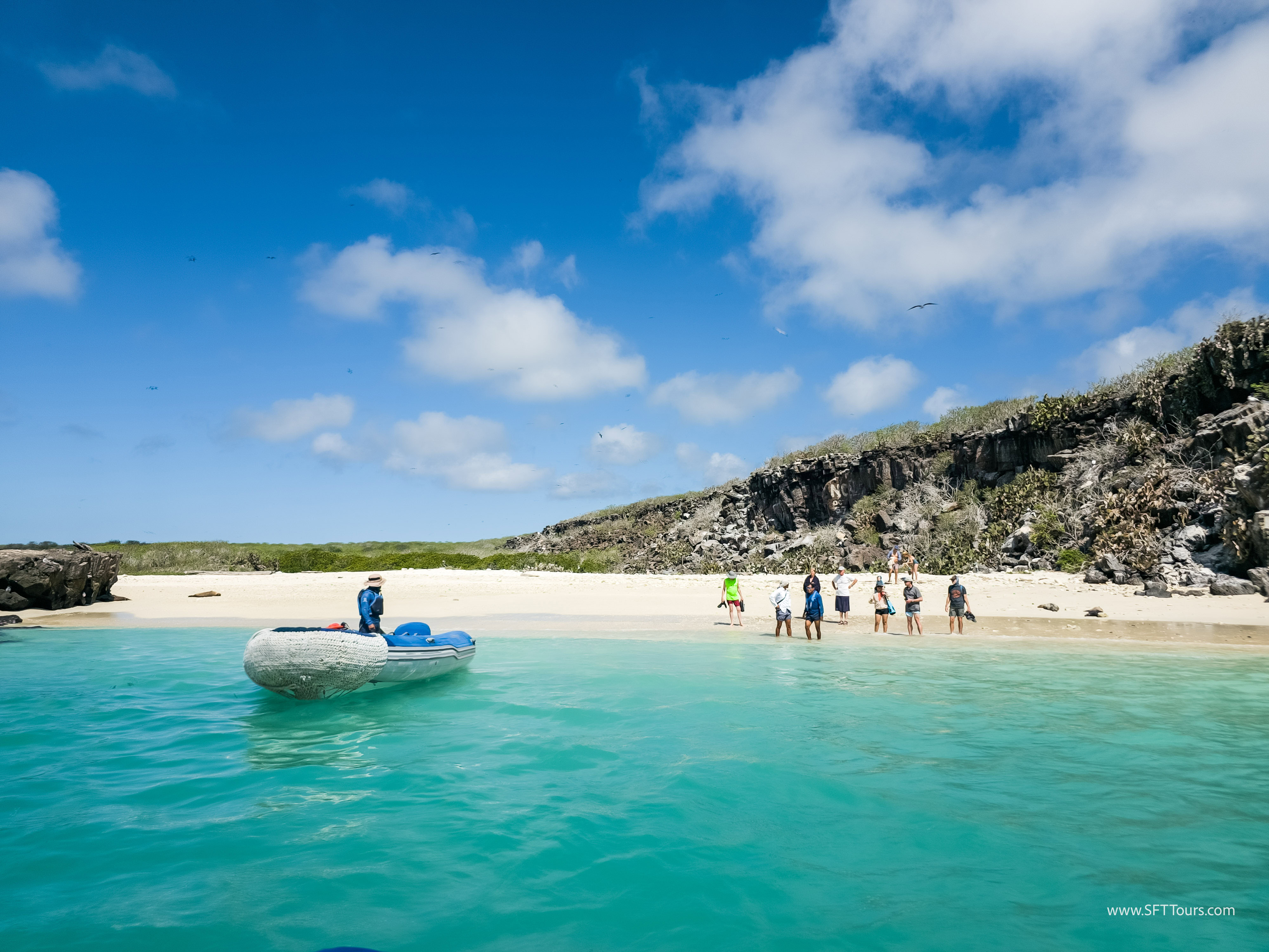 Galapagos Scouting 2025 L-60