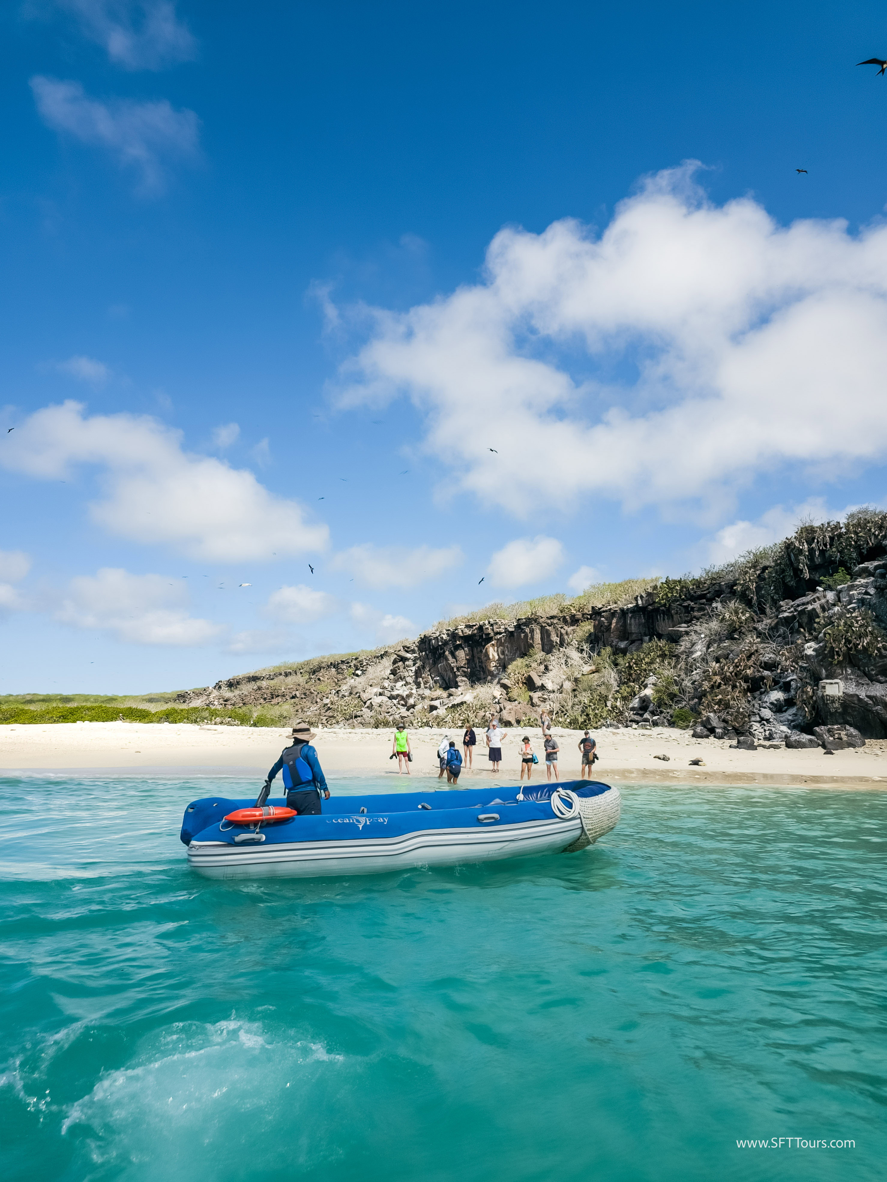 Galapagos Scouting 2025 L-61