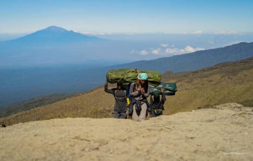 Kili IWD 2025 L-503
