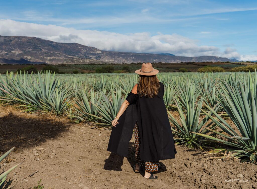 Oaxaca 2024 NYE Emily L-1003