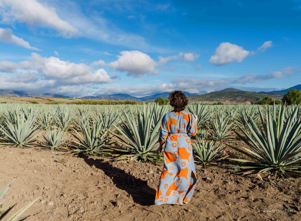 Oaxaca 2024 NYE Emily L-1026