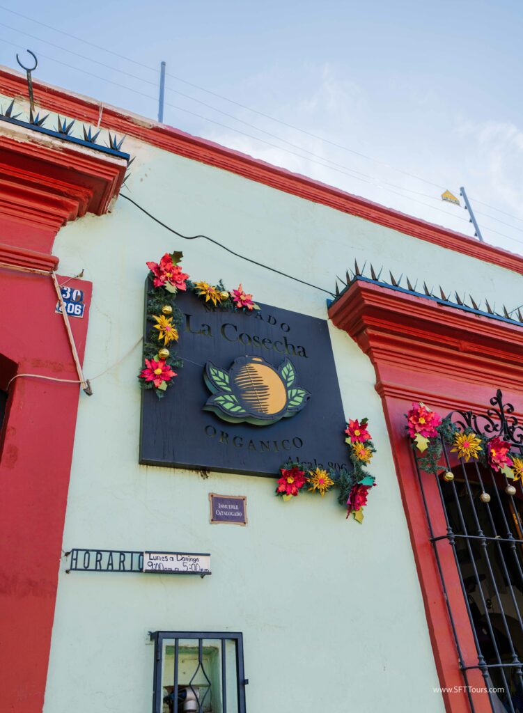 Oaxaca 2024 NYE Emily L-103