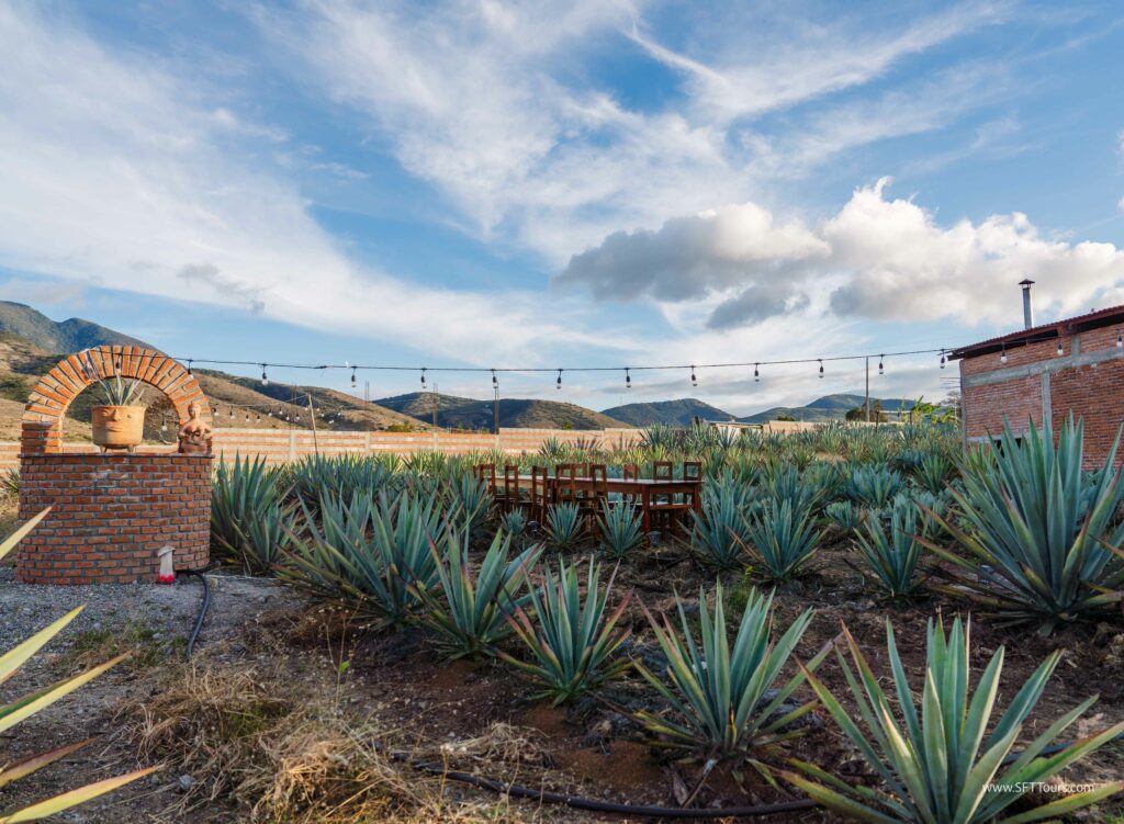 Oaxaca 2024 NYE Emily L-1057