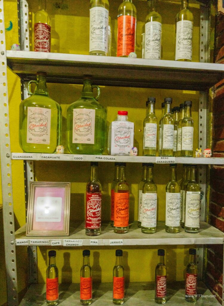 Oaxaca 2024 NYE Emily L-1103