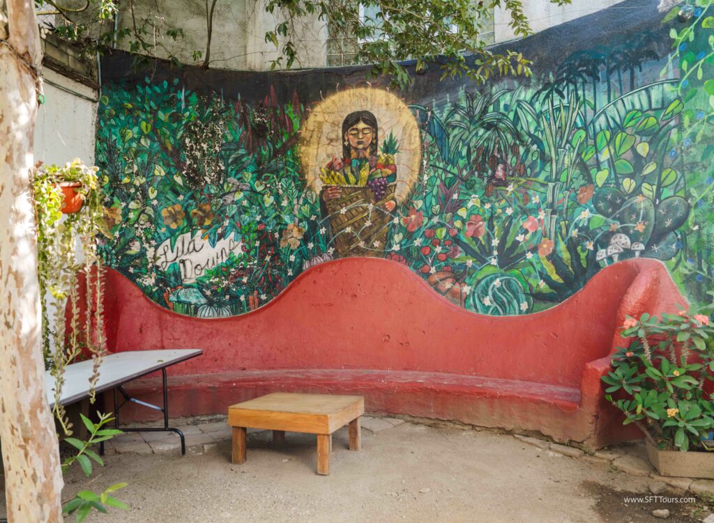 Oaxaca 2024 NYE Emily L-127